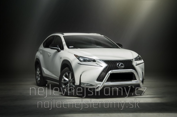 NX F-Sport 2014